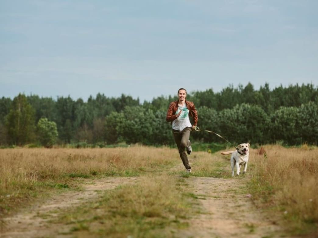 Owning A Dog Is Good For You, Especially If You Live Alone