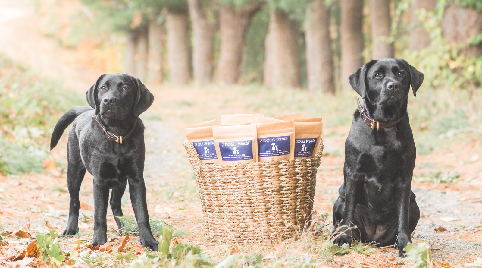 All Treats & Chews