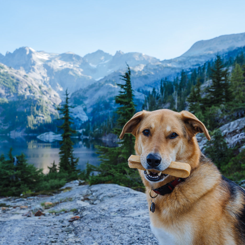 Summit Dog Chews