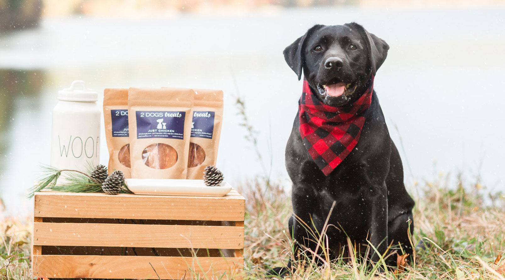 Best treats hotsell for lab puppies