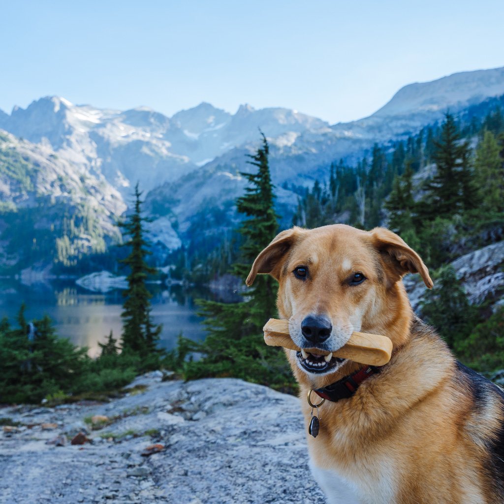 Summit Dog Chews - Subscription