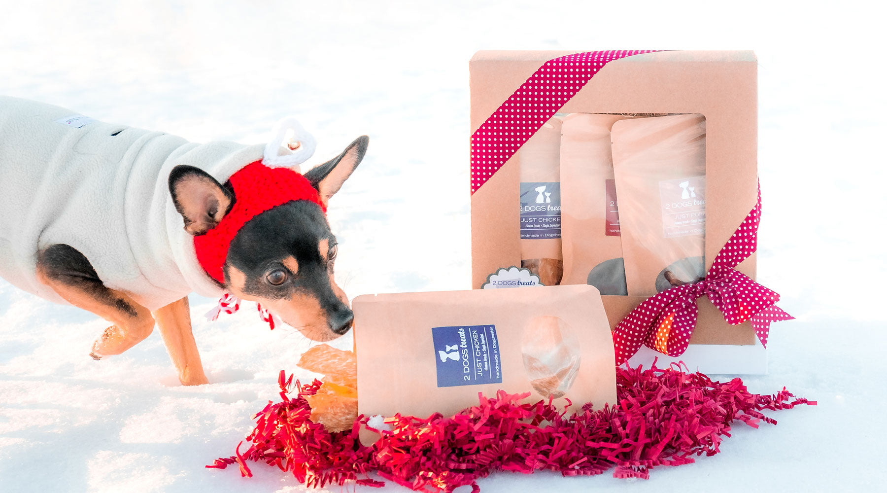 2 Dogs Treats Gift Box