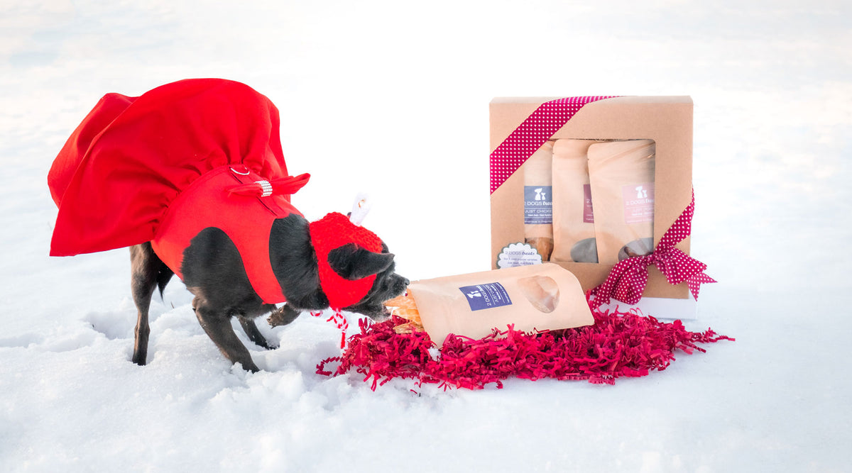 2 Dogs Treats Gift Box