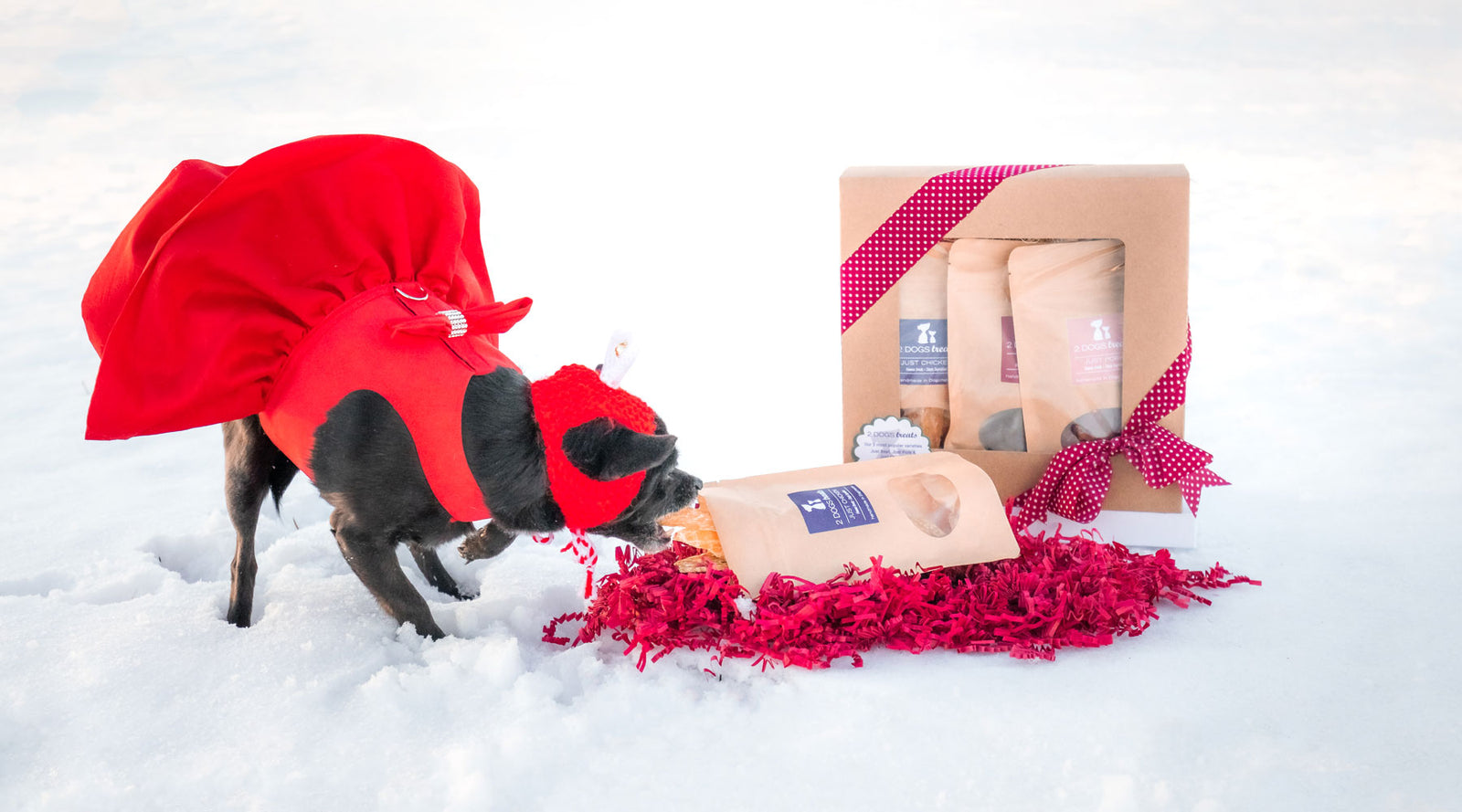 2 Dogs Treats Gift Box